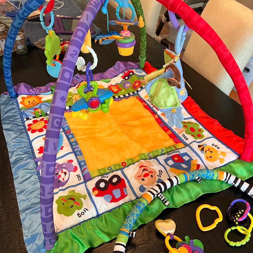 Fisher price play mat